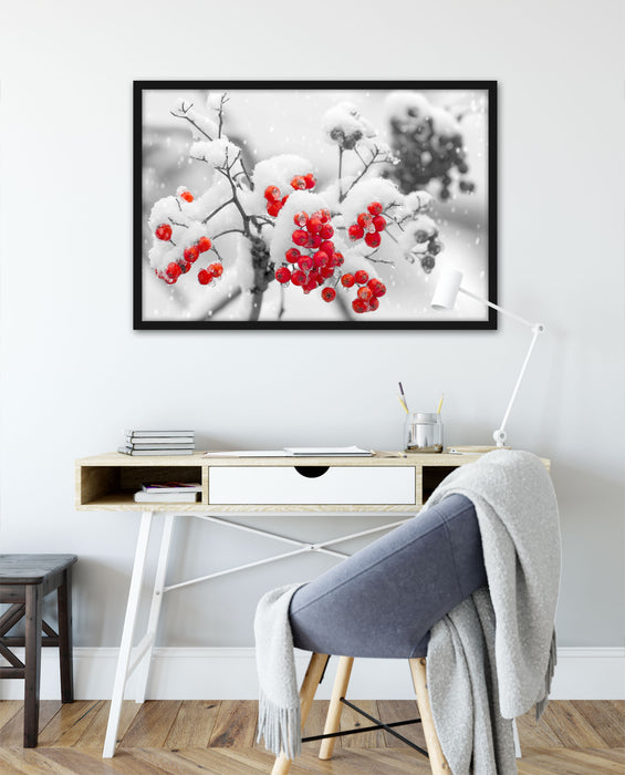 Rote Vogelbeeren im Winter, Poster mit Bilderrahmen