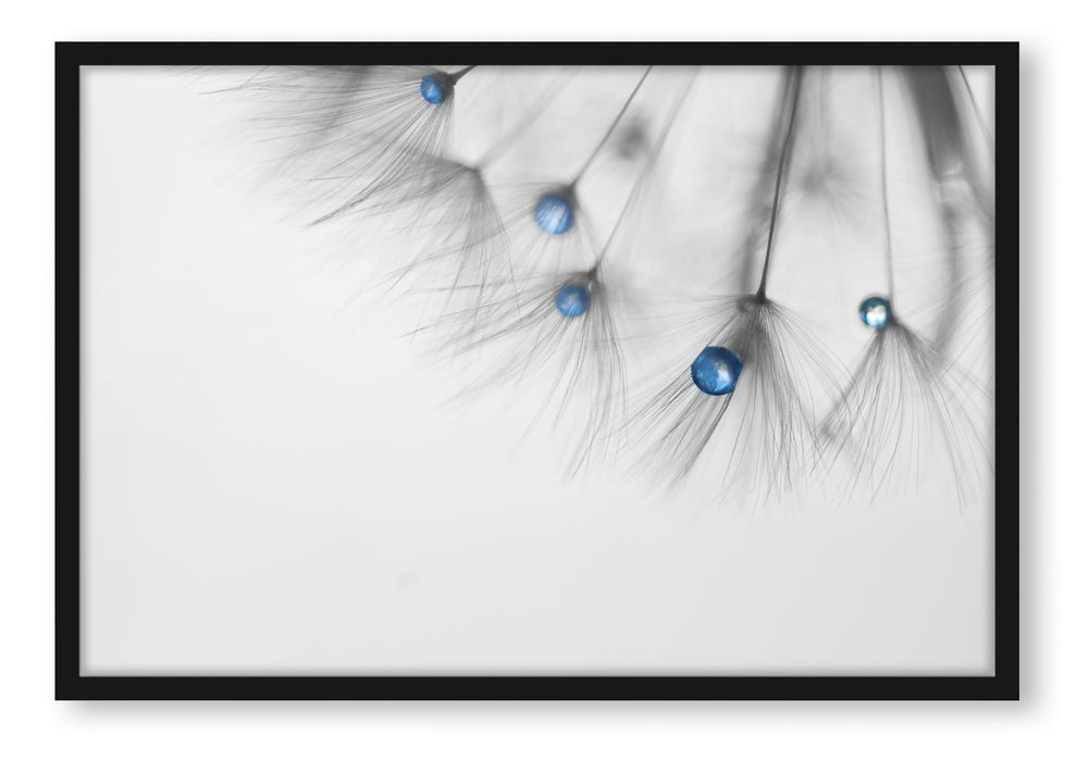 Pixxprint Pusteblume Wassertropfen, Poster mit Bilderrahmen