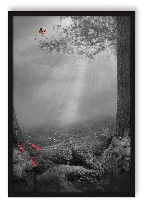 Märchenwald mit Schmetterling, Poster mit Bilderrahmen