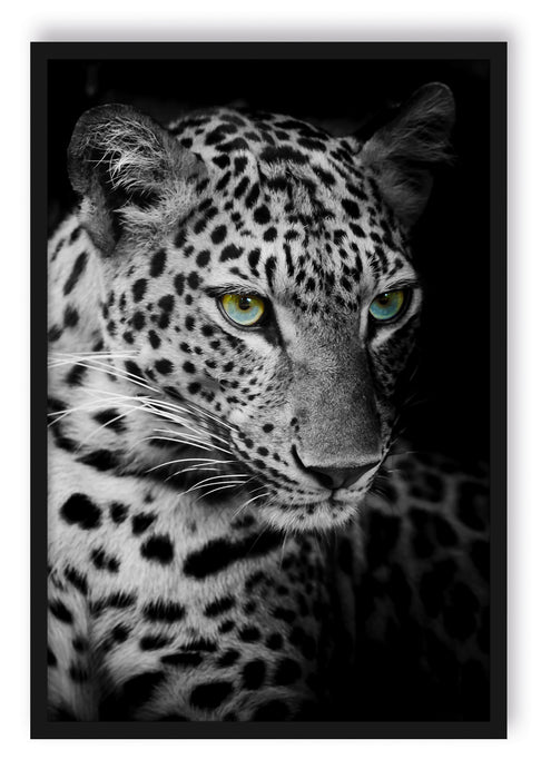 Pixxprint Leopardenkopf, Poster mit Bilderrahmen
