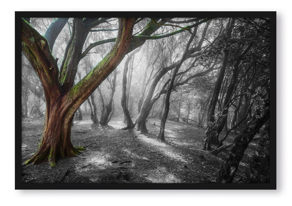 Pixxprint einsamer Baum in tristem Grau, Poster mit Bilderrahmen