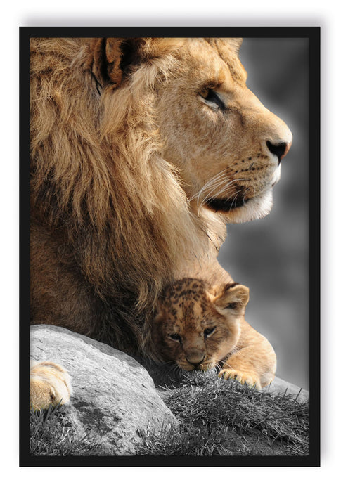 Pixxprint Löwe mit Löwenbaby, Poster mit Bilderrahmen