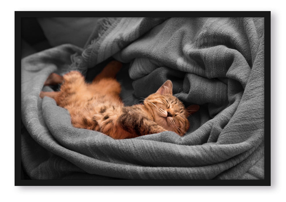 Pixxprint bezaubernde schlafende Katze, Poster mit Bilderrahmen