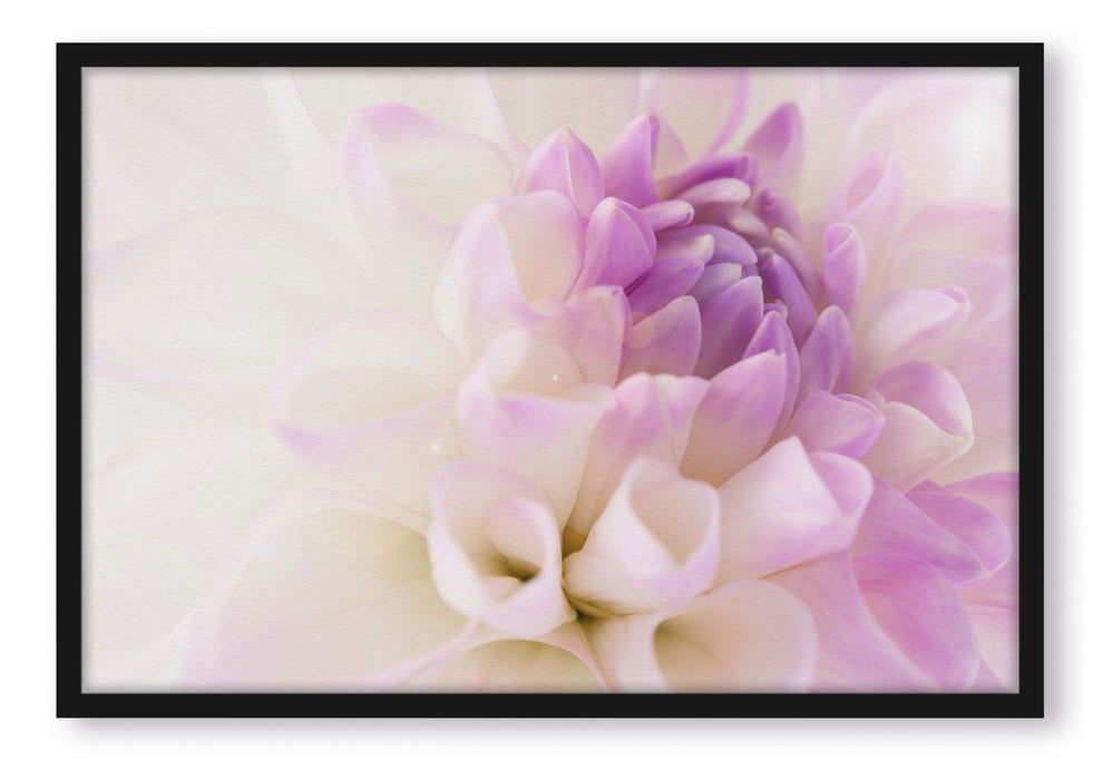 Pixxprint Blüte mit lila Blütenblätter, Poster mit Bilderrahmen