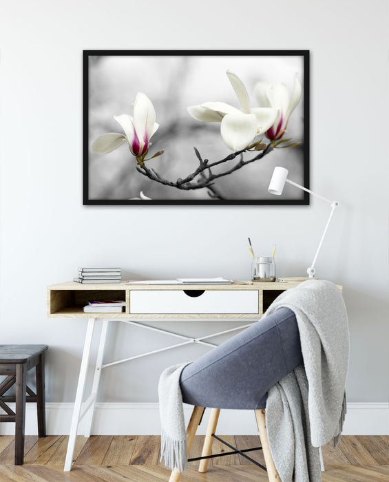 Magnolienblüten, Poster mit Bilderrahmen