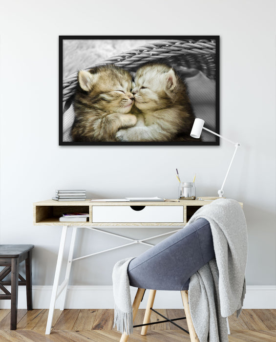 Zwei süße Babykatzen im Korb, Poster mit Bilderrahmen