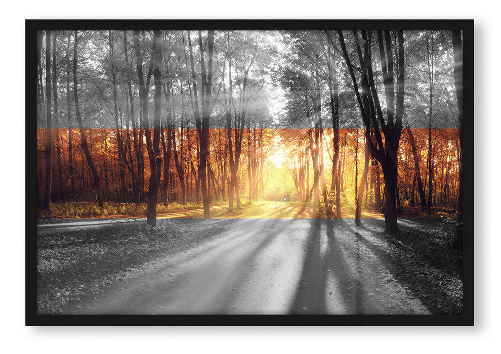 Pixxprint Allee im Herbstlicht, Poster mit Bilderrahmen