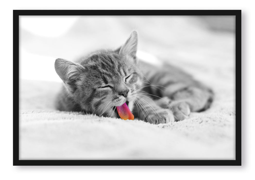 Pixxprint kleines gähnendes Kätzchen, Poster mit Bilderrahmen