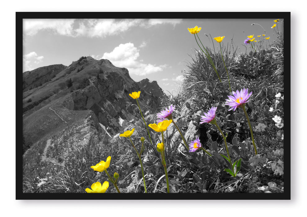 Pixxprint Blumenwiese im Frühling, Poster mit Bilderrahmen