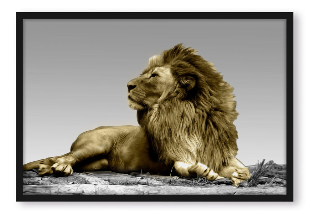 Pixxprint majestätischer Löwe auf Fels, Poster mit Bilderrahmen