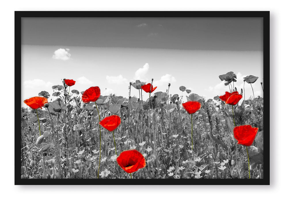 Pixxprint schöner rot leuchtender Mohn, Poster mit Bilderrahmen