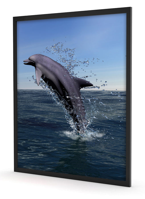 Delphin sprint im Meer, Poster mit Bilderrahmen