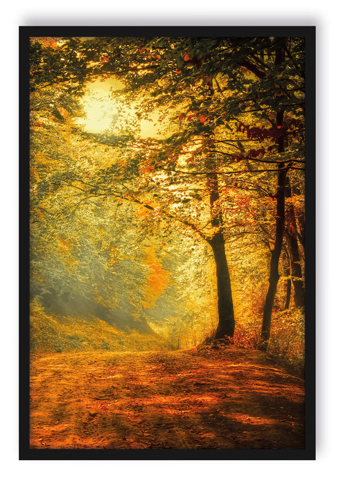 Pixxprint Wald im Herbst, Poster mit Bilderrahmen