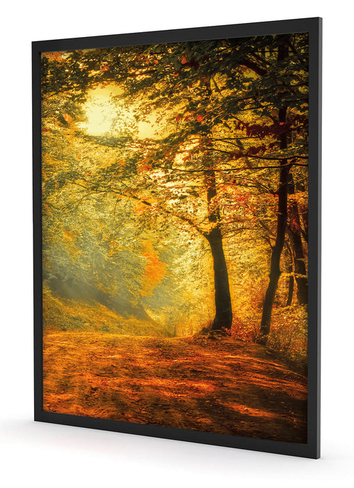 Wald im Herbst, Poster mit Bilderrahmen