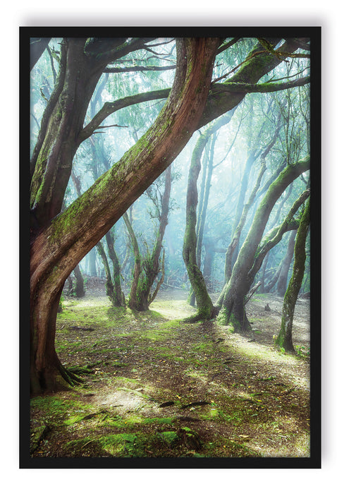 Pixxprint Wald, Poster mit Bilderrahmen