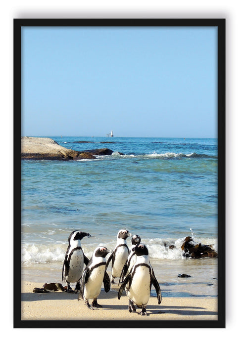 Pixxprint Pinguine am Strand, Poster mit Bilderrahmen