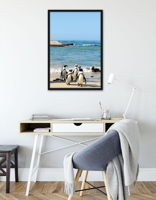 Pinguine am Strand, Poster mit Bilderrahmen