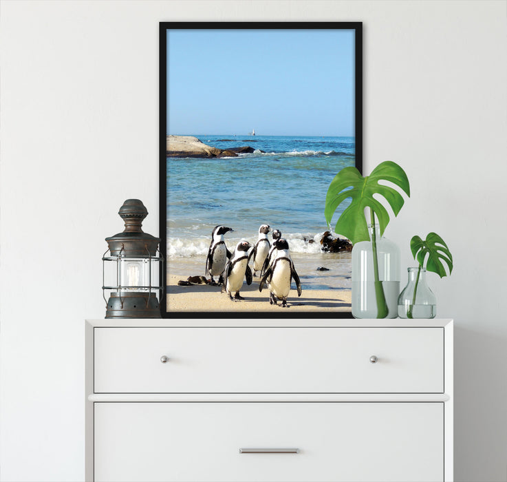 Pinguine am Strand, Poster mit Bilderrahmen