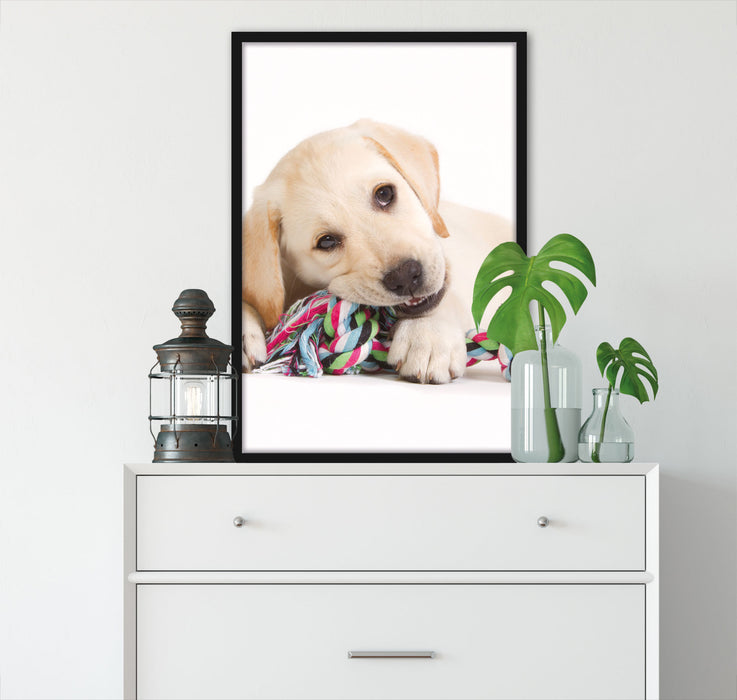 Hundewelpe, Poster mit Bilderrahmen