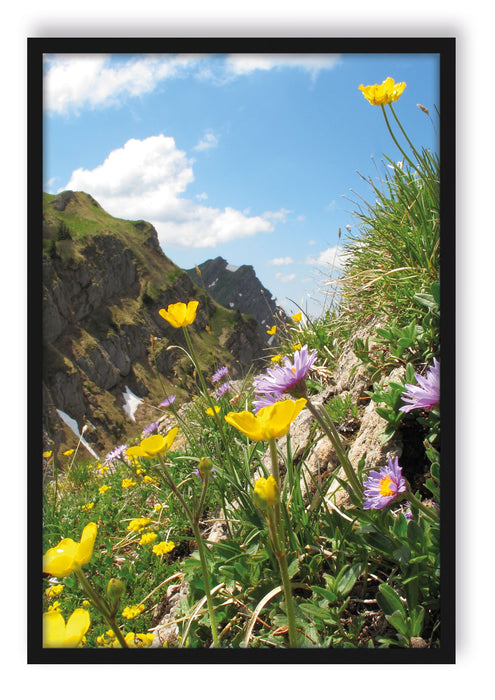 Pixxprint Blumenwiese im Frühling, Poster mit Bilderrahmen