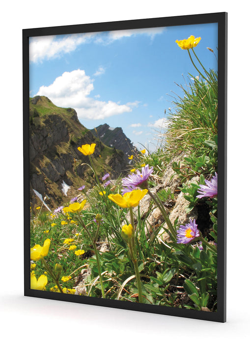 Blumenwiese im Frühling, Poster mit Bilderrahmen