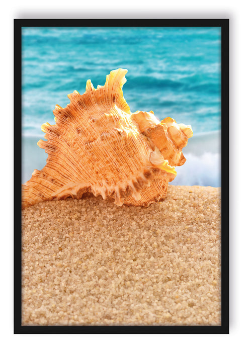 Pixxprint Muschel am Strand, Poster mit Bilderrahmen