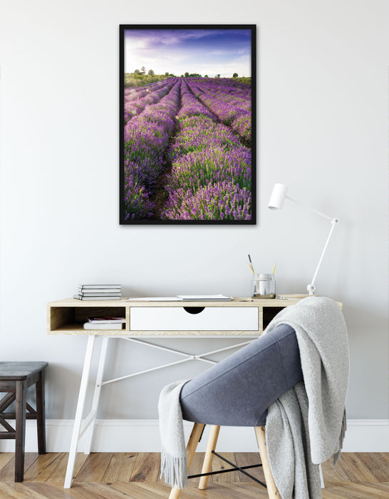 Lavendelfeld Provence, Poster mit Bilderrahmen