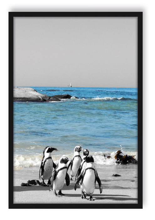 Pixxprint lustige Pinguine am Strand, Poster mit Bilderrahmen