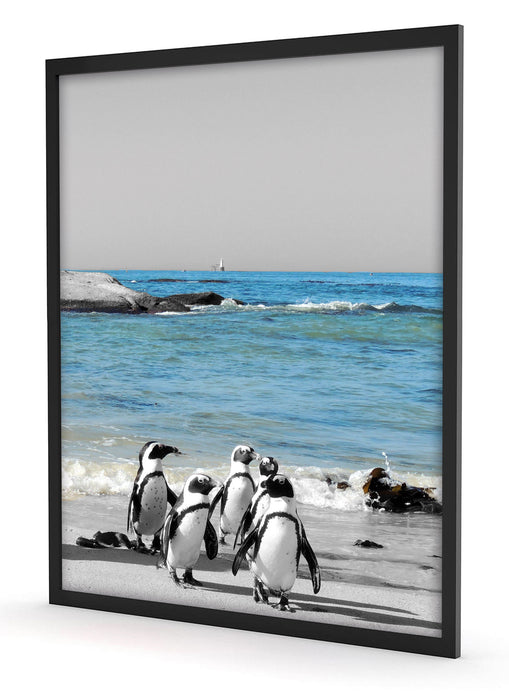 lustige Pinguine am Strand, Poster mit Bilderrahmen