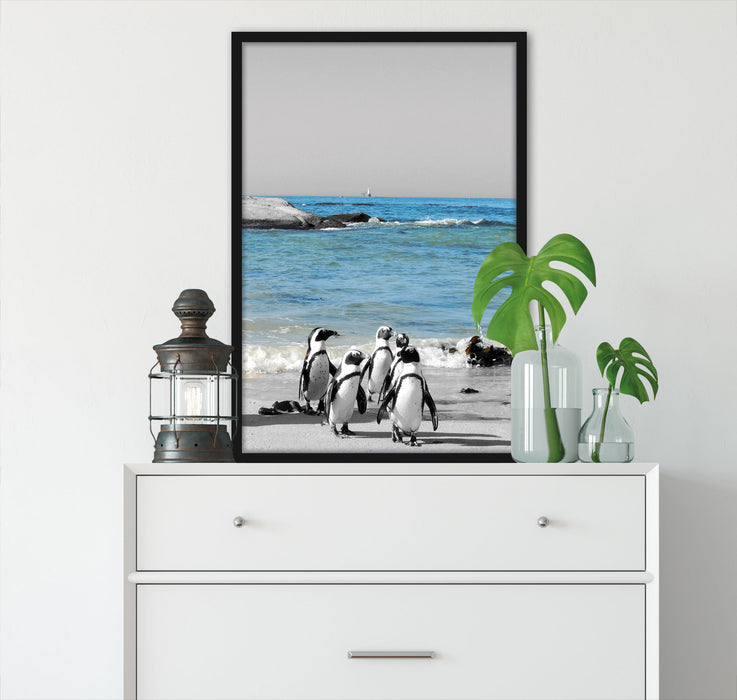 lustige Pinguine am Strand, Poster mit Bilderrahmen