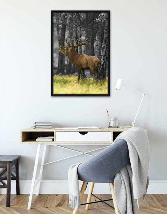 röhrender Hirsch im Wald schwarz/weiß, Poster mit Bilderrahmen