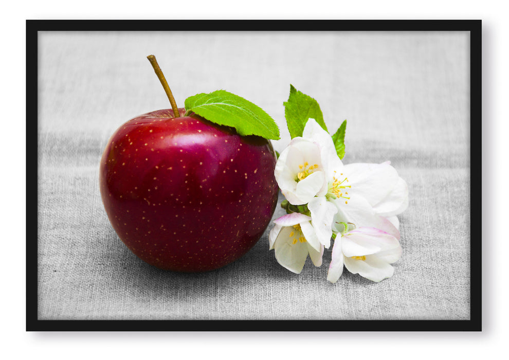 Schöner roter Apfel mit Blüten, Poster mit Bilderrahmen