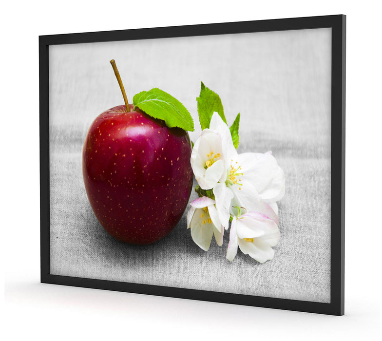 Schöner roter Apfel mit Blüten, Poster mit Bilderrahmen