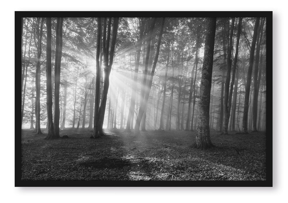 Pixxprint Wald mit Sonnenstrahlen, Poster mit Bilderrahmen