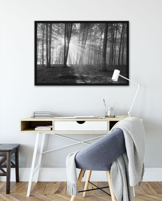 Wald mit Sonnenstrahlen, Poster mit Bilderrahmen