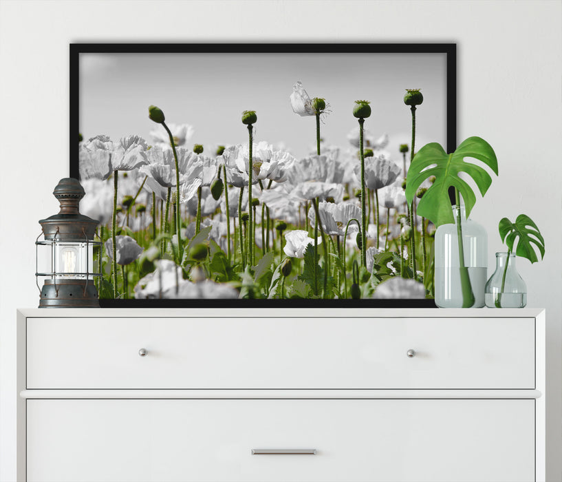 Blumenwiese Mohnblumen, Poster mit Bilderrahmen