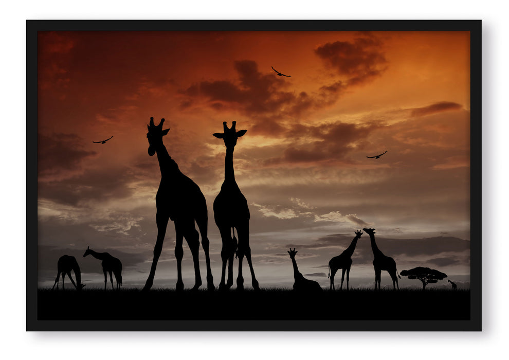 Pixxprint Afrika Giraffen im Sonnenuntergang, Poster mit Bilderrahmen