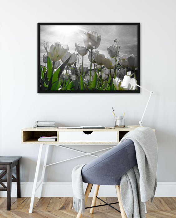 wunderschöne Tulpenwiese, Poster mit Bilderrahmen