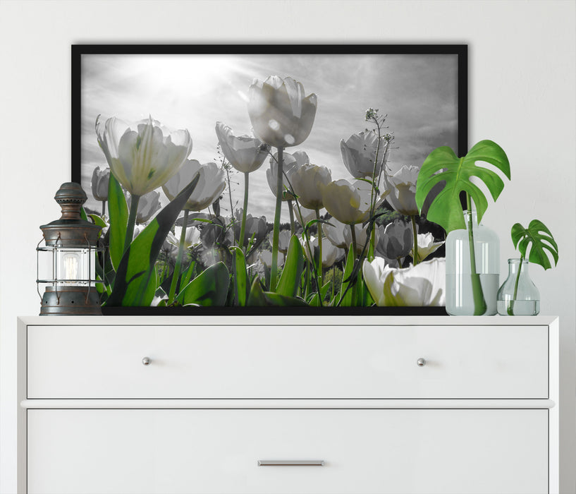 wunderschöne Tulpenwiese, Poster mit Bilderrahmen