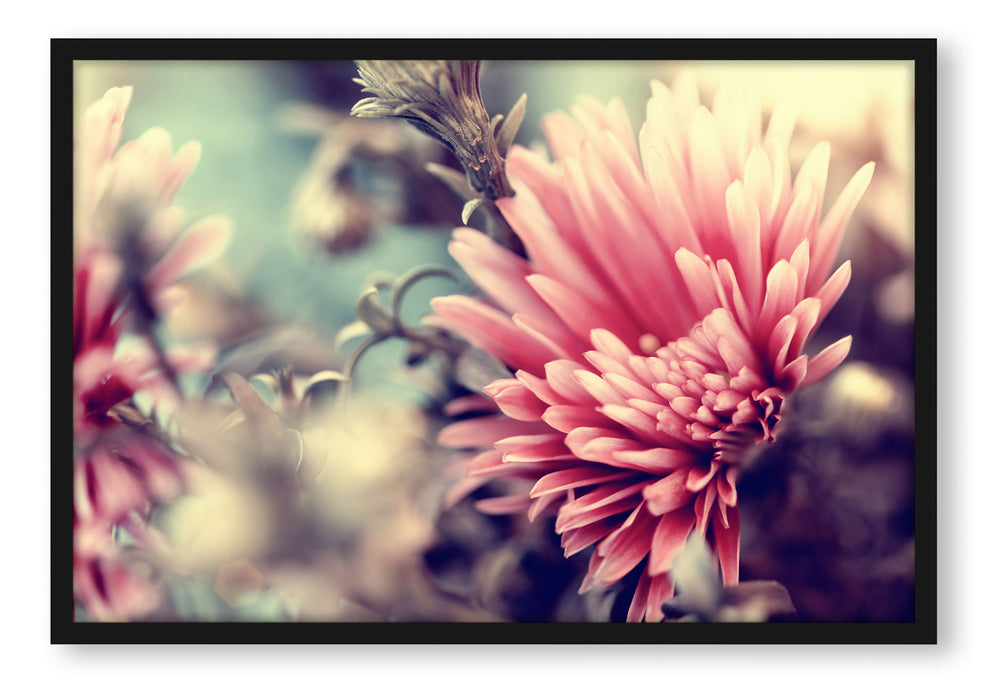 Pixxprint Romantische Blumen, Poster mit Bilderrahmen