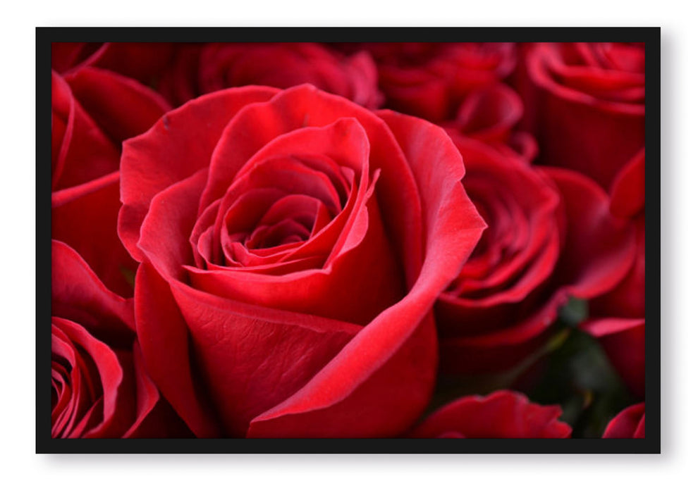 Romantische Rosen, Poster mit Bilderrahmen