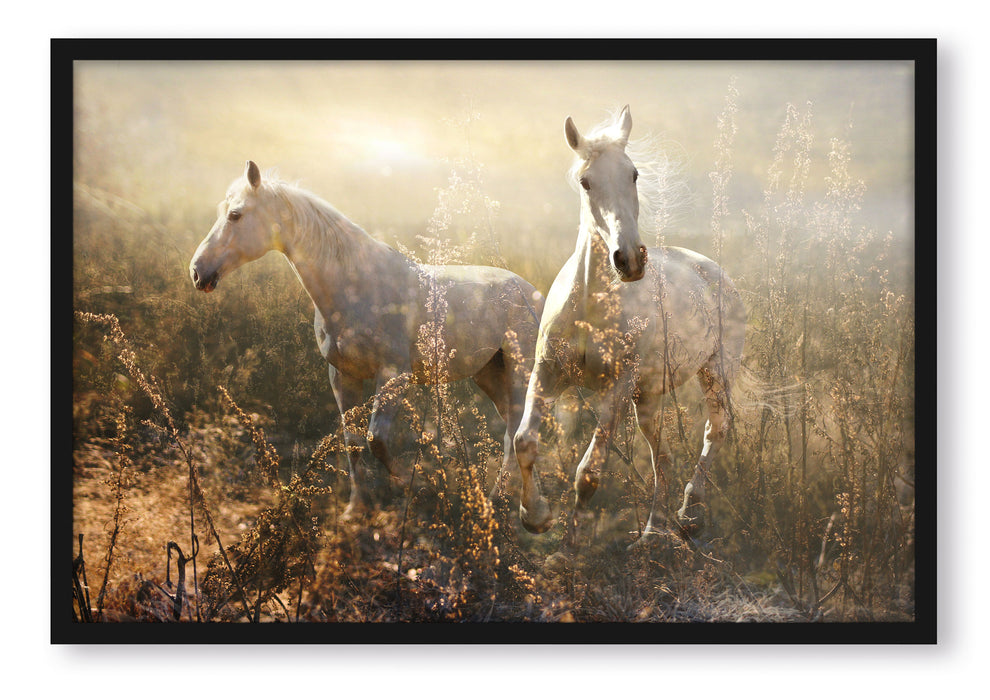 Pixxprint Zwei wilde Schimmel, Poster mit Bilderrahmen