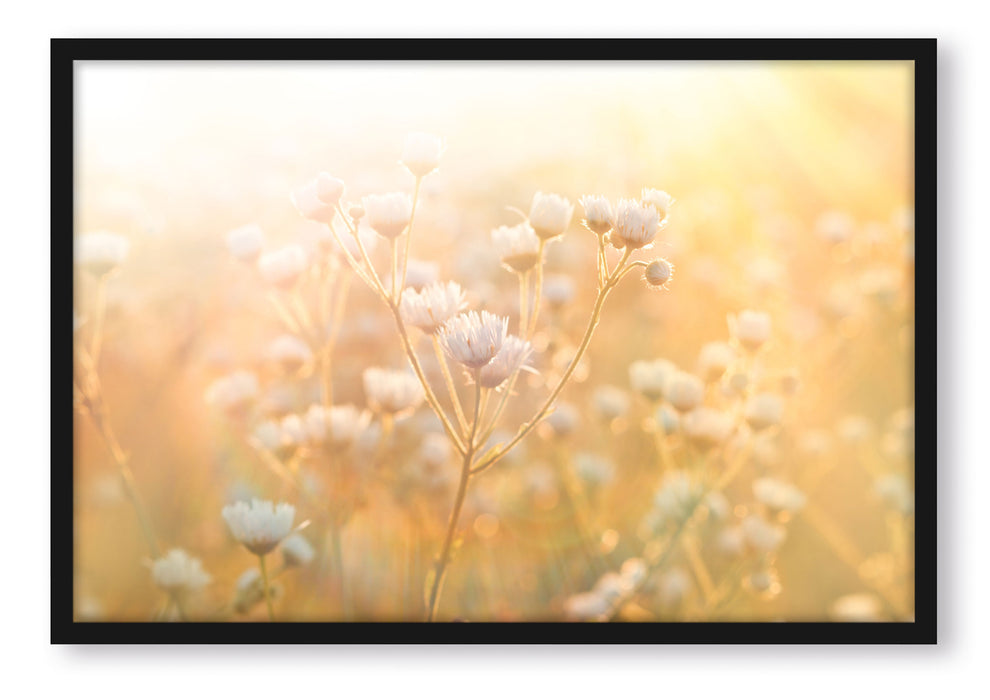 Pixxprint Romantische Blumenwiese, Poster mit Bilderrahmen