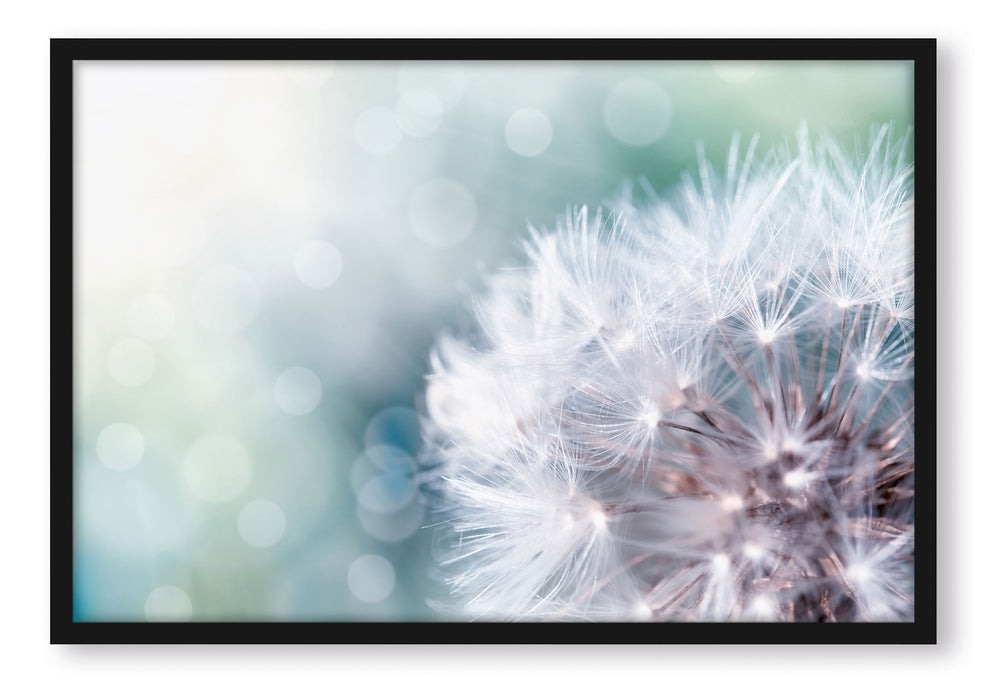 Pixxprint Zauberhafte Pusteblume, Poster mit Bilderrahmen