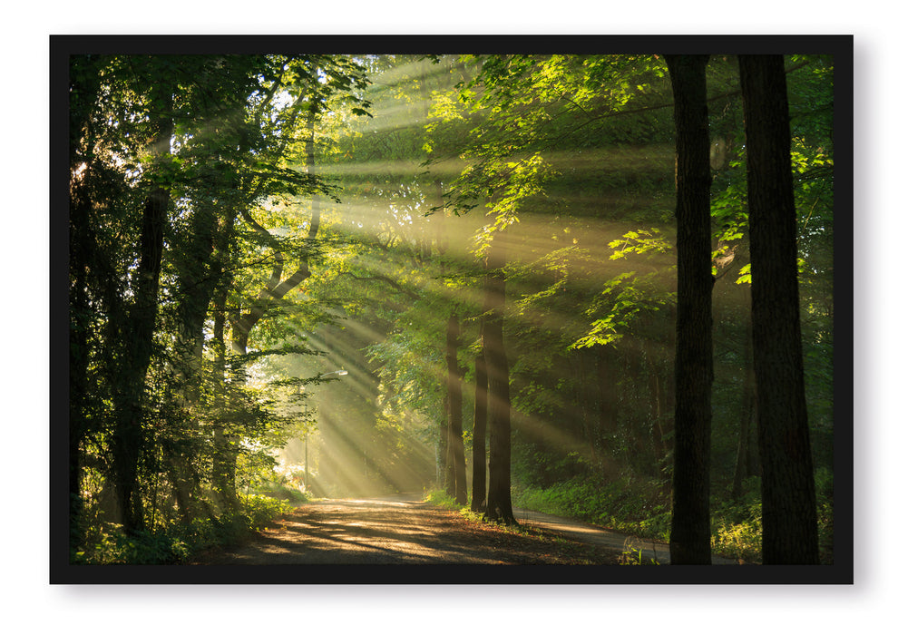 Pixxprint Waldweg im Frühling, Poster mit Bilderrahmen