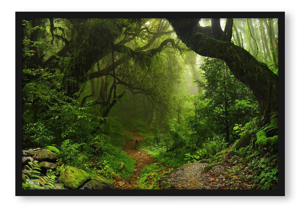 Pixxprint Mystischer Regenwald, Poster mit Bilderrahmen