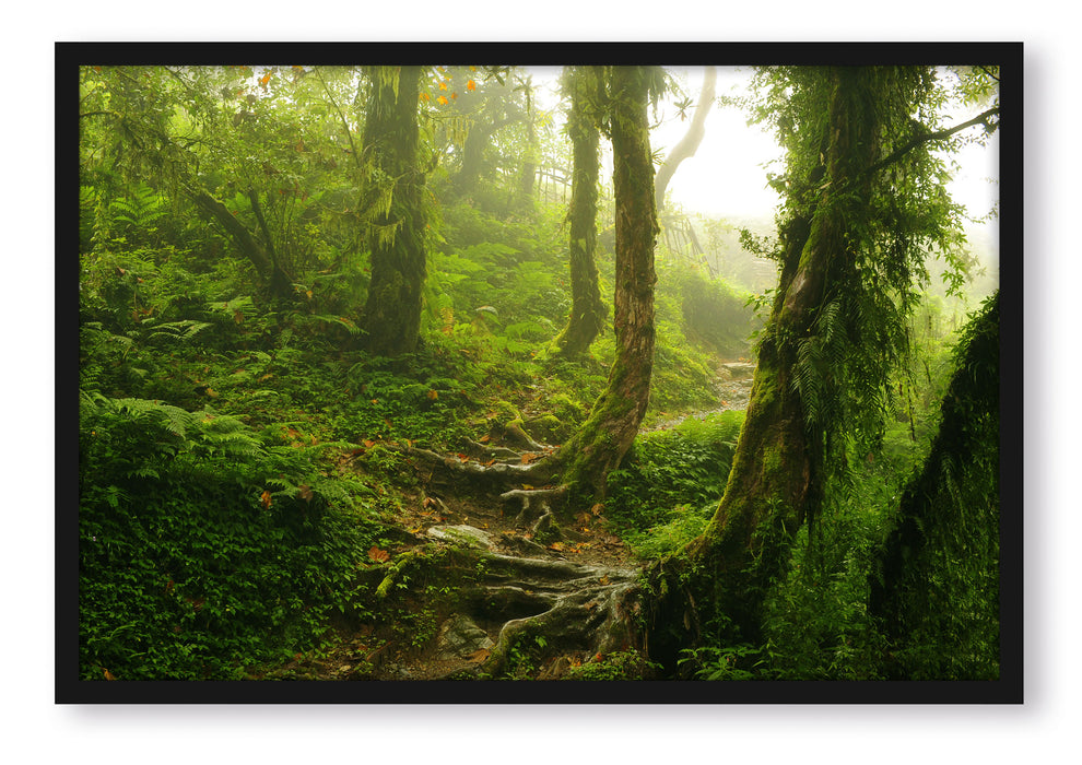 Pixxprint Unberührter Regenwald, Poster mit Bilderrahmen