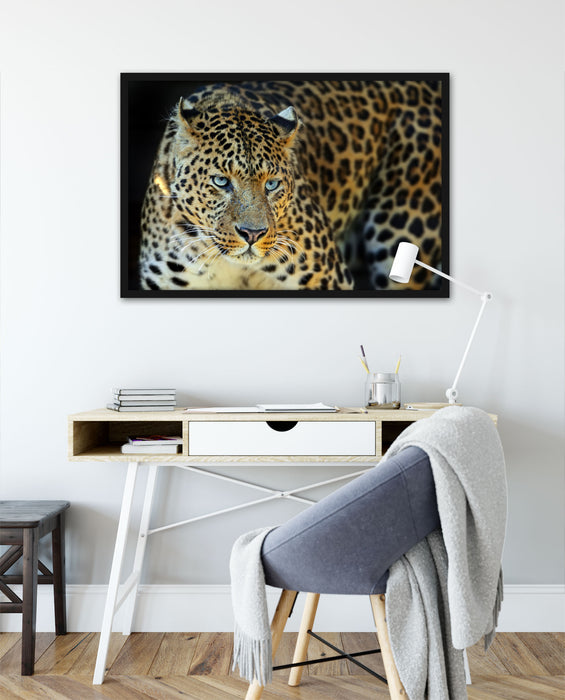 Prächtiger Leopard, Poster mit Bilderrahmen