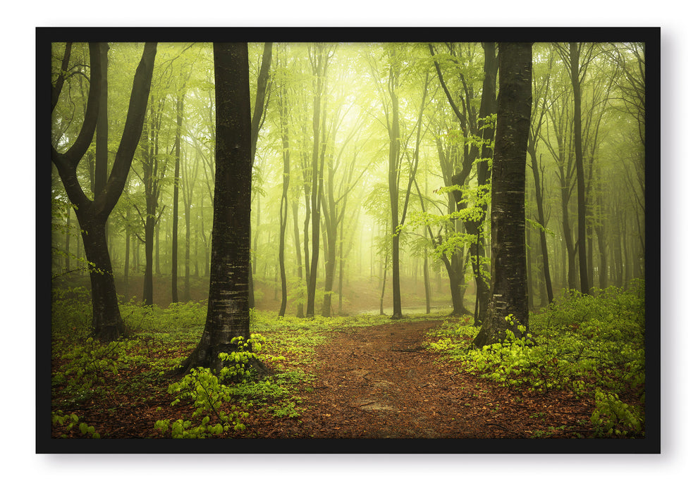 Weg im Wald, Poster mit Bilderrahmen