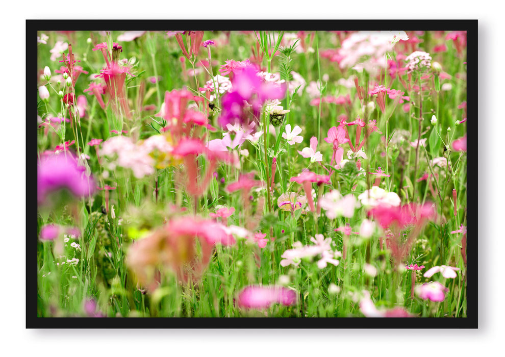 Wundervolle Blumenwiese, Poster mit Bilderrahmen